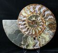 Large Split Ammonite Pair - Crystal Pockets #19215-2
